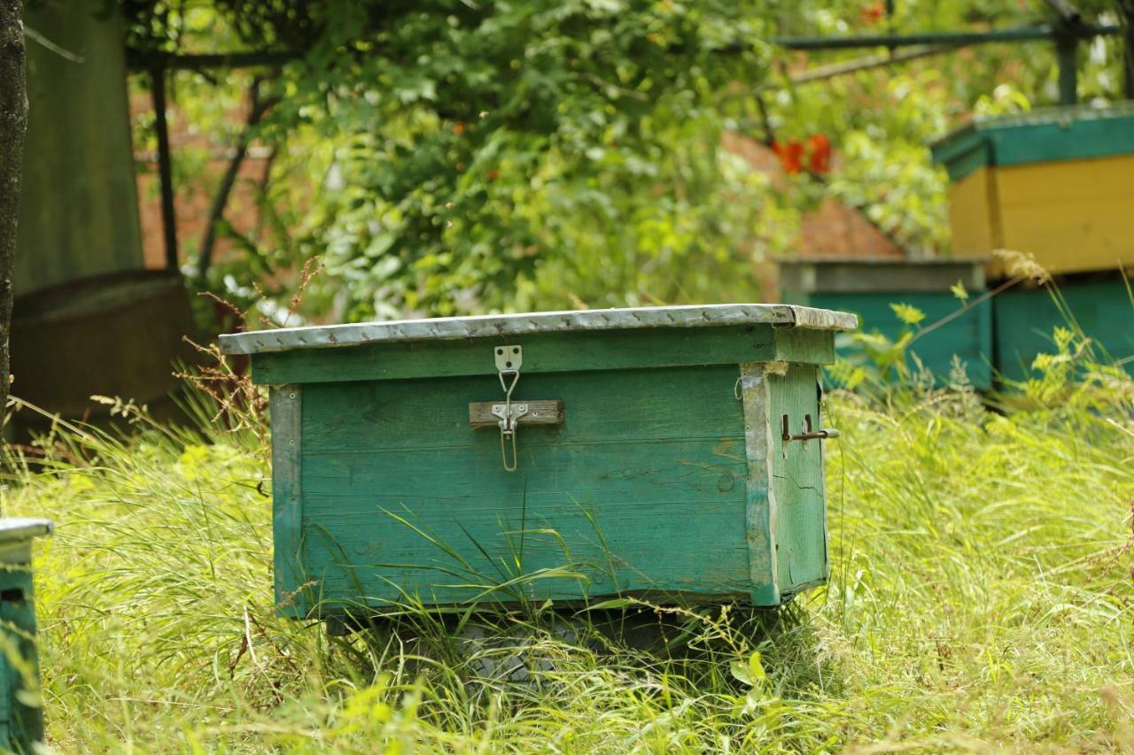 Beehives Apartment Kutaisi Exterior photo